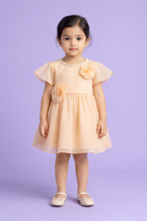 Peach Blossom Party Frock Baby Girl Dress